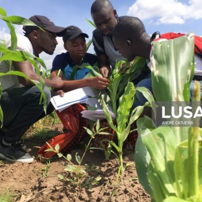 Canadá pretende apoiar Moçambique em agricultura, turismo e mineração