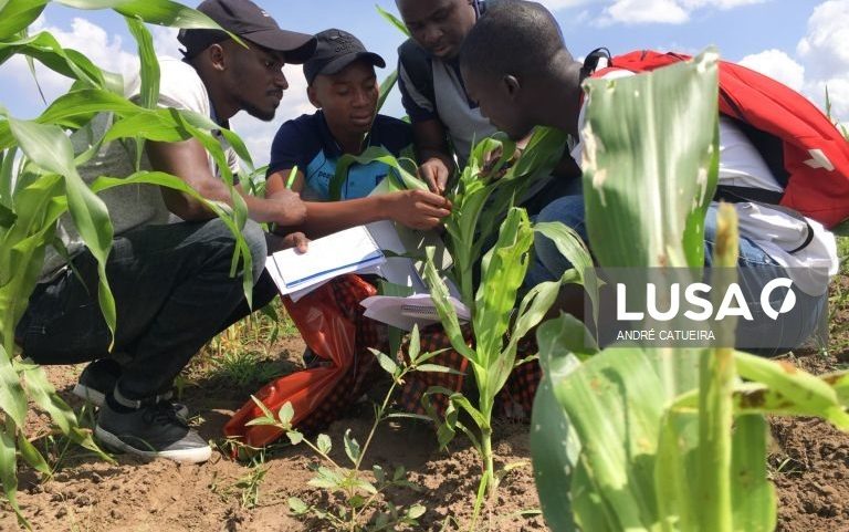 Canadá pretende apoiar Moçambique em agricultura, turismo e mineração