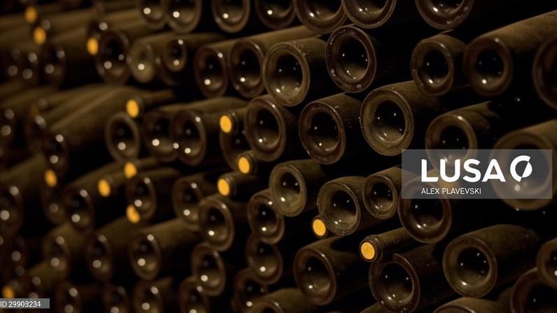 Menos 23 milhões de litros de vinho colocados no mercado em 2025 – IVV