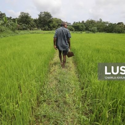 Preço elevado dos fertilizantes agrava dificuldades dos produtores angolanos