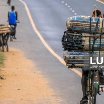 Polícia moçambicana apreende 1.400 sacos de carvão com destino à África do Sul