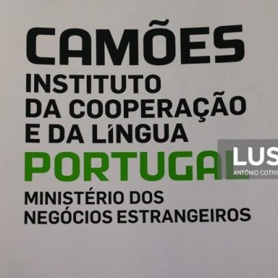 Presidente do Camões destaca impacto do Procultura nos PALOP e Timor-Leste