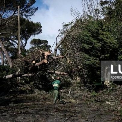 Cascais prevê prejuízos superiores a 6,5 milhões de euros devido ao mau tempo