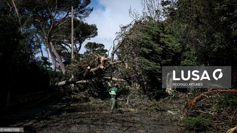 Mau tempo: Cascais estima prejuízos de mais de 6,5 milhões de euros