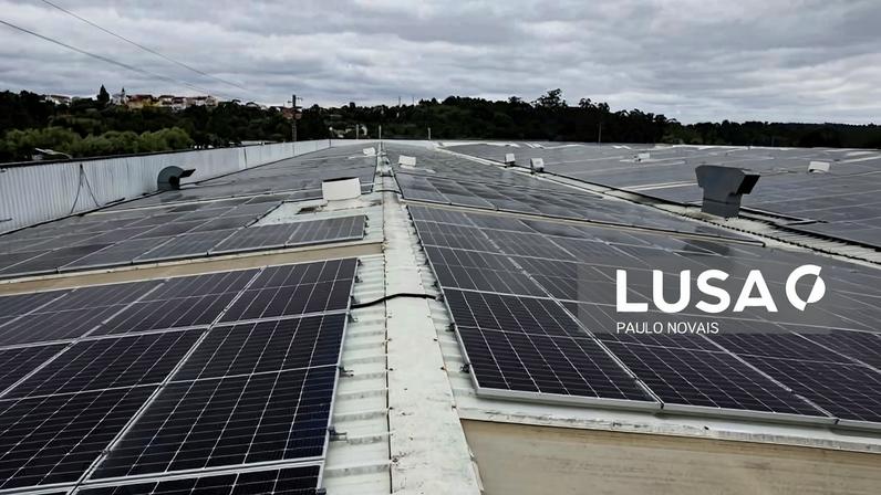 Renováveis geram 79% da eletricidade até fevereiro, o 3.º melhor registo europeu