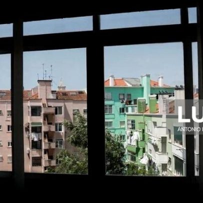 Parlamento rejeita todos os projetos sobre arrendamento