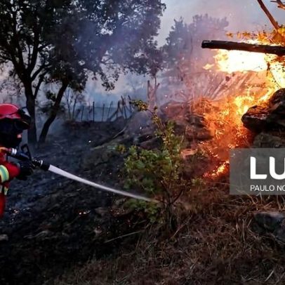 Portugal, Espanha e França criam app para monitorizar o fogo em tempo real