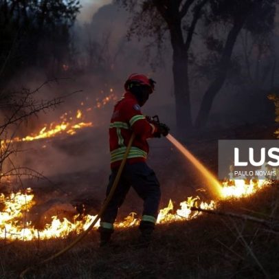 Quase metade da área ardida na UE em 2025 ocorreu em Portugal e Espanha