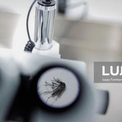 Dengue em Timor-Leste já faz 24 mortes