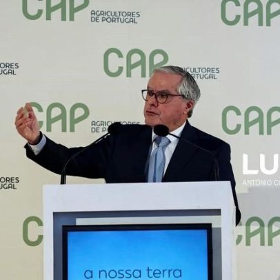 CAP e APED pedem ao Governo avançar com pacote de medidas coerente e eficaz