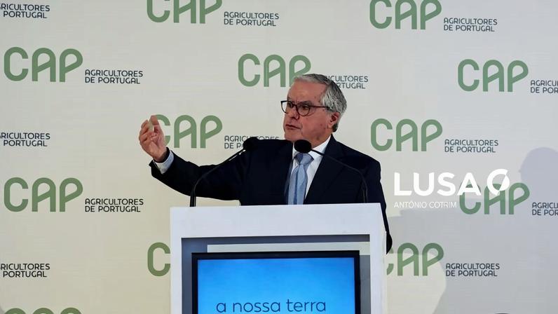 CAP e APED pedem ao Governo que avance com pacote coerente e eficaz de medidas