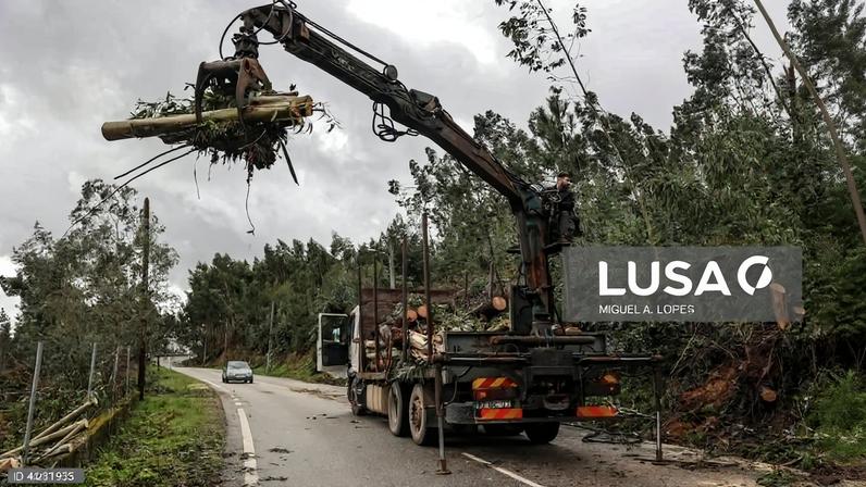 Governo avança com programa de 40 M€ para proprietários limparem florestas