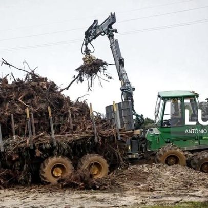 Câmara de Pombal planeia limpar 2.400 km de caminhos florestais