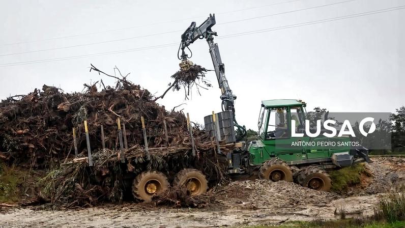 Câmara de Pombal planeia limpar 2.400 km de caminhos florestais