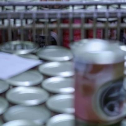 Portal interessado em adquirir a Sicasal, empresa insolvente