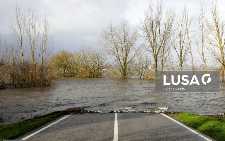 Soure com prejuízos de 25 milhões de euros devido ao mau tempo