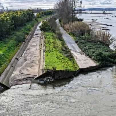 Especialistas denunciam falta de manutenção da obra hidráulica do Baixo Mondego