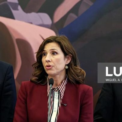 IL solicita clareza a Chega e PS sobre órgãos externos e quer resolver impasse