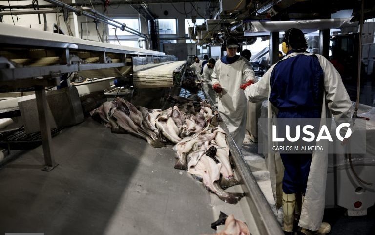 Conselho Norueguês dos Produtos do Mar vai investir até 800.000 euros em Portugal