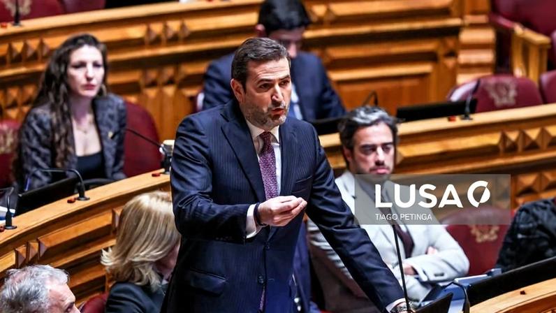 PSD pede recato sobre órgãos externos e diz que todas as maiorias “são admissíveis”