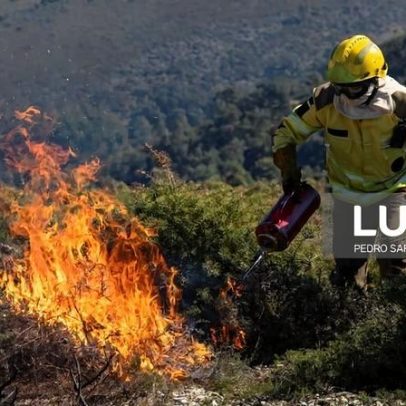 Fogo controlado no inverno reduz incêndios e renova pastagens