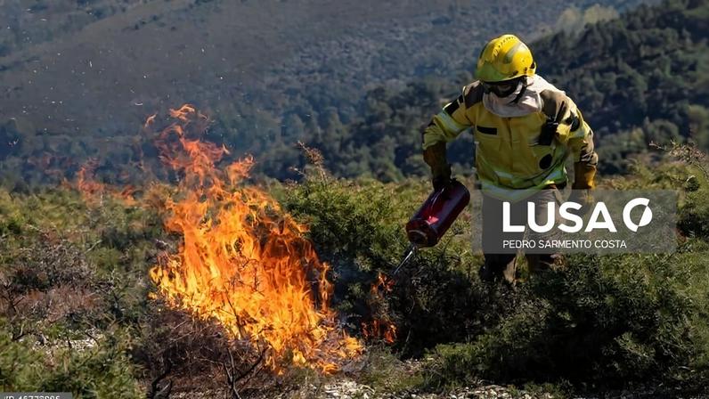 Fogo controlado no inverno ajuda a travar incêndios e renova pastagens