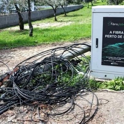 Ferreira do Zêzere longe da normalização dois meses após a depressão de Kristin