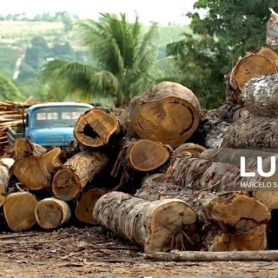 Desflorestação em foco no novo plano climático brasileiro