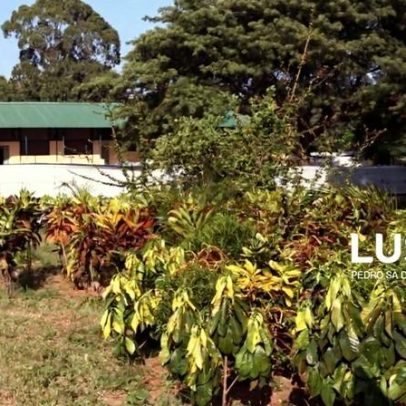 Cólera em Moçambique soma mais uma morte, quase 7.000 casos desde setembro