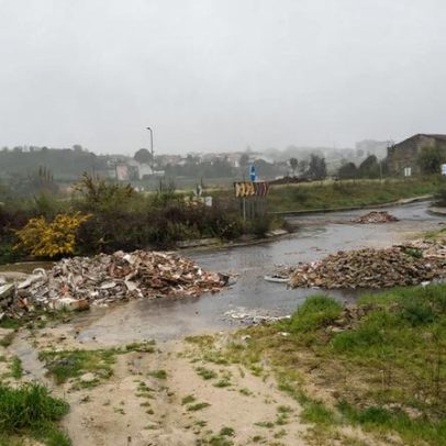 Obras da Via Nordeste em Rio Tinto paradas por sobreiros, sem data de reinício