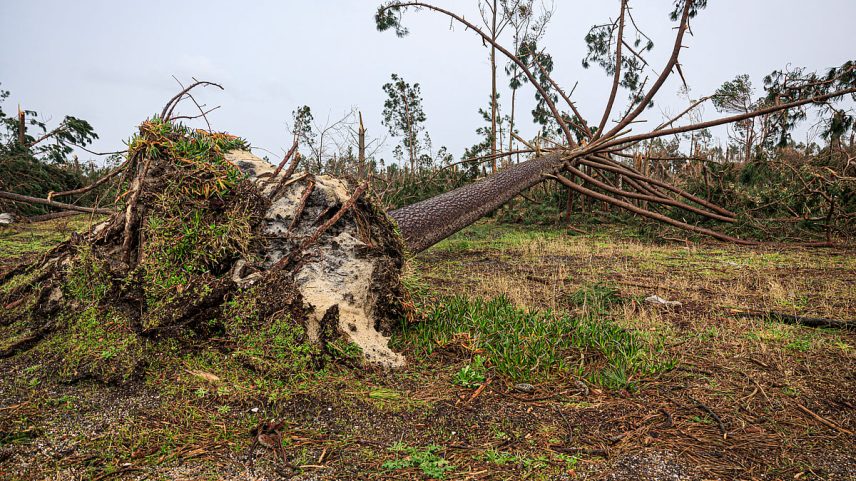 Foto: Reinaldo Rodrigues