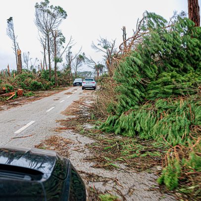 Mau tempo: Meo prevê reposição completa da rede fixa até 30 de abril