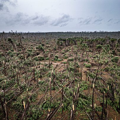 Região de Leiria pede apoio urgente após tempestades devastadoras