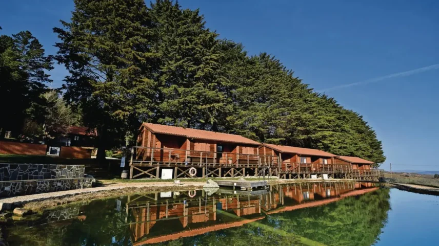 Parque Biológico de Vinhais é uma das joias do concelho transmontano