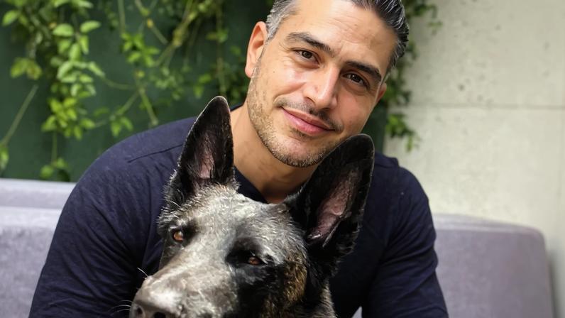 Carneiro e Montenegro não chegaram a acordo sobre órgãos externos ao Parlamento