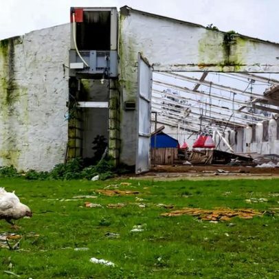 Empresários criticam atraso nos apoios e pedem investimento estrangeiro em Leiria