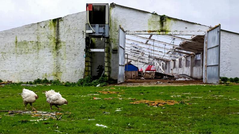 Empresários criticam atraso nos apoios e pedem investimento estrangeiro em Leiria