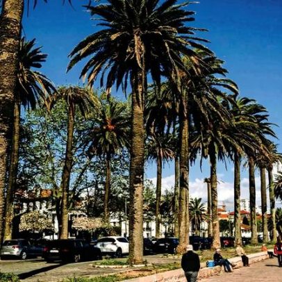 Investimento de 189 milhões de euros na Foz Velha até 2035