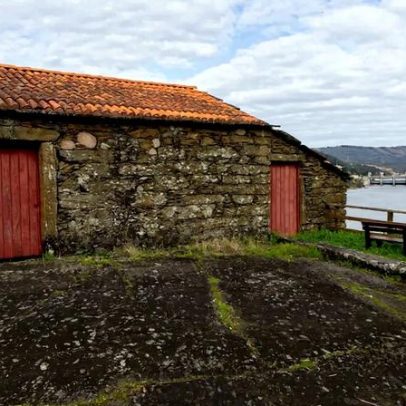 Parque Botânico do Castelo, Crestuma, revela natureza e sepultura medieval