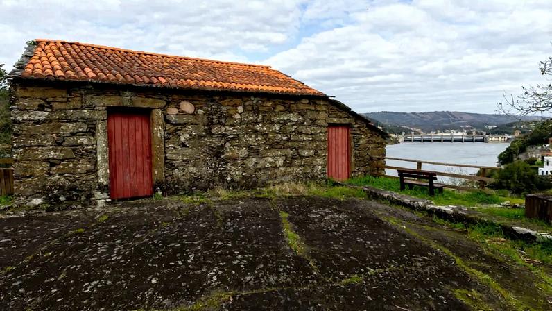 Parque Botânico do Castelo, Crestuma, revela natureza e sepultura medieval