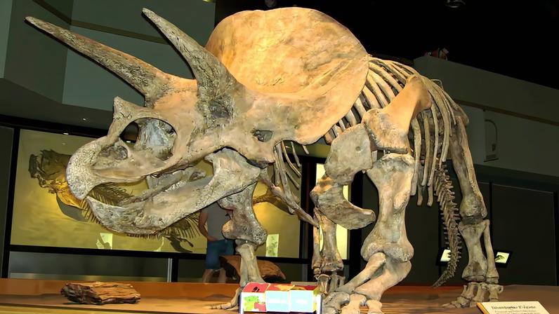 Foto: MathKnight/Wikimedia