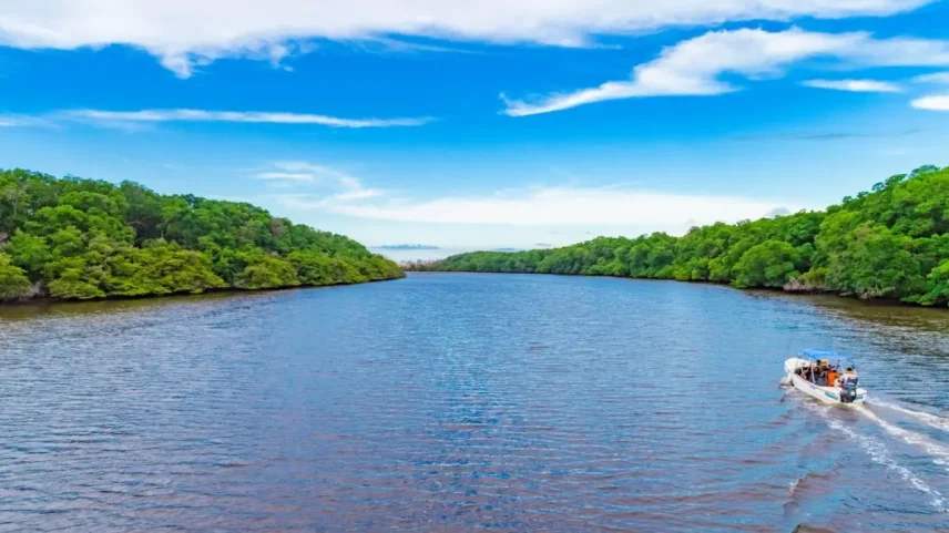 Entrar no Piauí é mergulhar num universo único de biodiversidade
