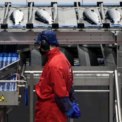 Salmão norueguês chega às mesas portuguesas