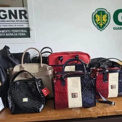 Detidos suspeitos de três assaltos à loja Cavalinho em Lourosa