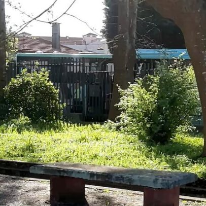 Adolescente agride motorista de autocarro em Esmoriz