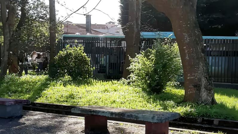 Foto: Direitos reservados