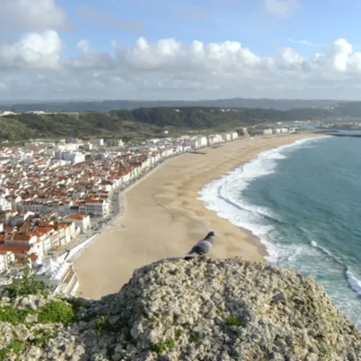 Morte de amigo por tiro acidental resulta em prisão de 4 anos e 9 meses