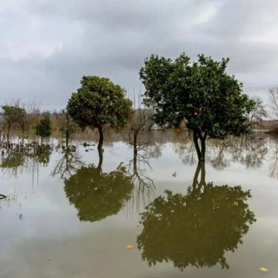 Banca concede 34,3 mil milhões de euros em empréstimos a áreas afetadas