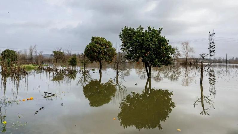 Coimbra foi uma das zonas afetadas pela depressão Kristin