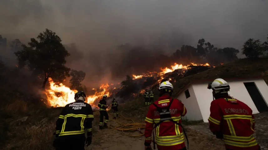 A aplicação informática vai este verão permitir acompanhar a evolução dos fogos em tempo real e a carga de combustível existente nos terrenos